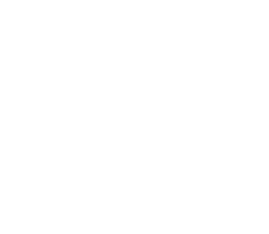 QUALITY INSPECTION