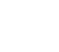 GLOBAL DISTRIBUTION